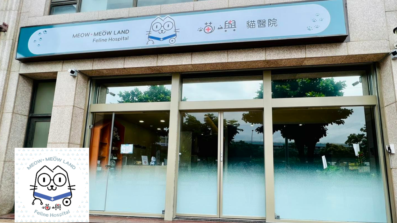 喵嶼貓專科醫院
